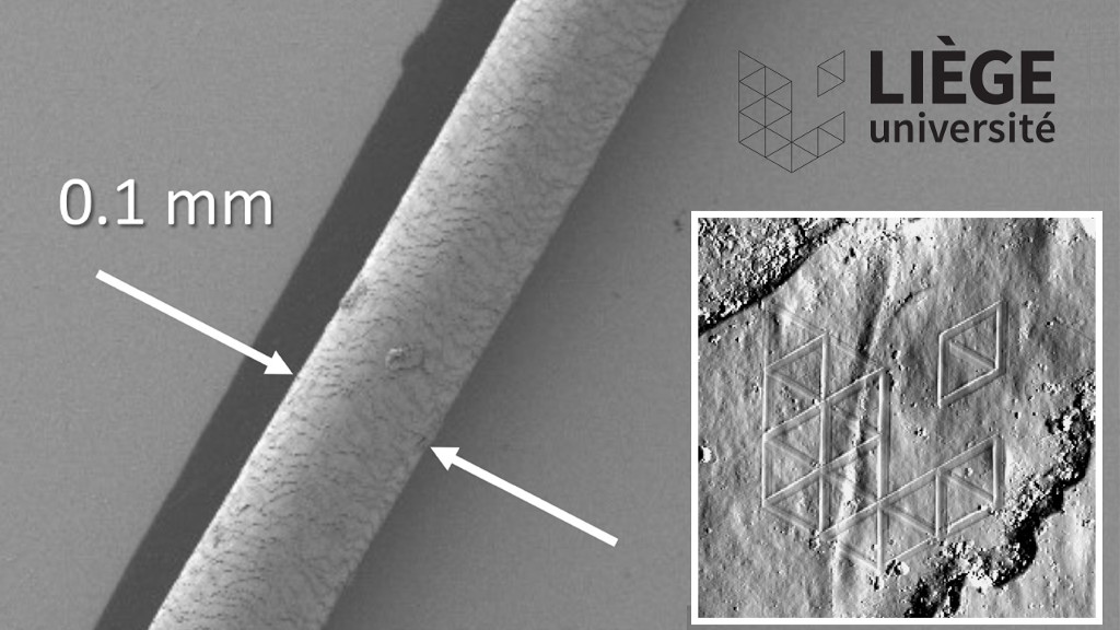 Cheveu-AFM-1.jpg